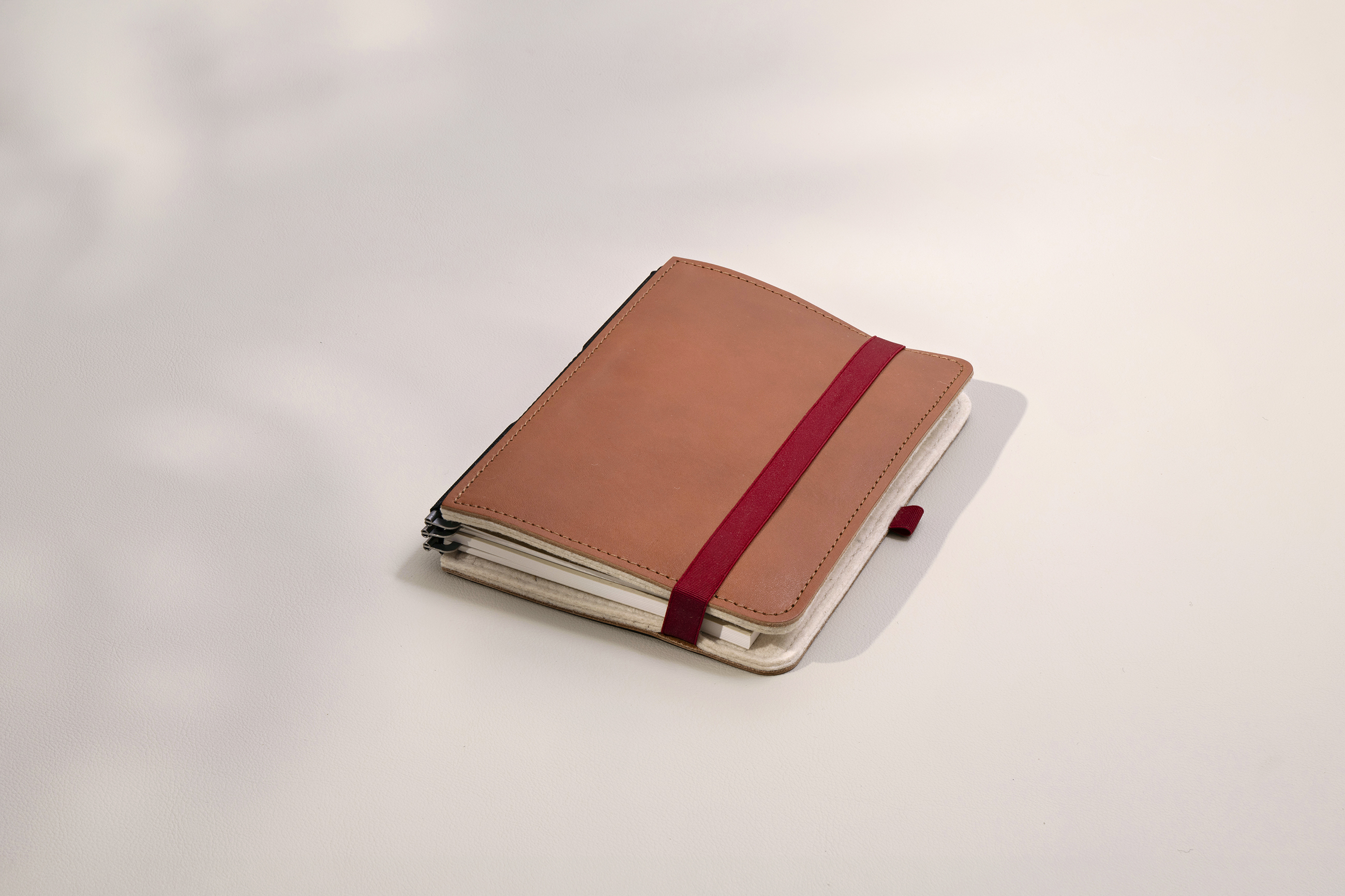 Taschenbegleiter LTD_036