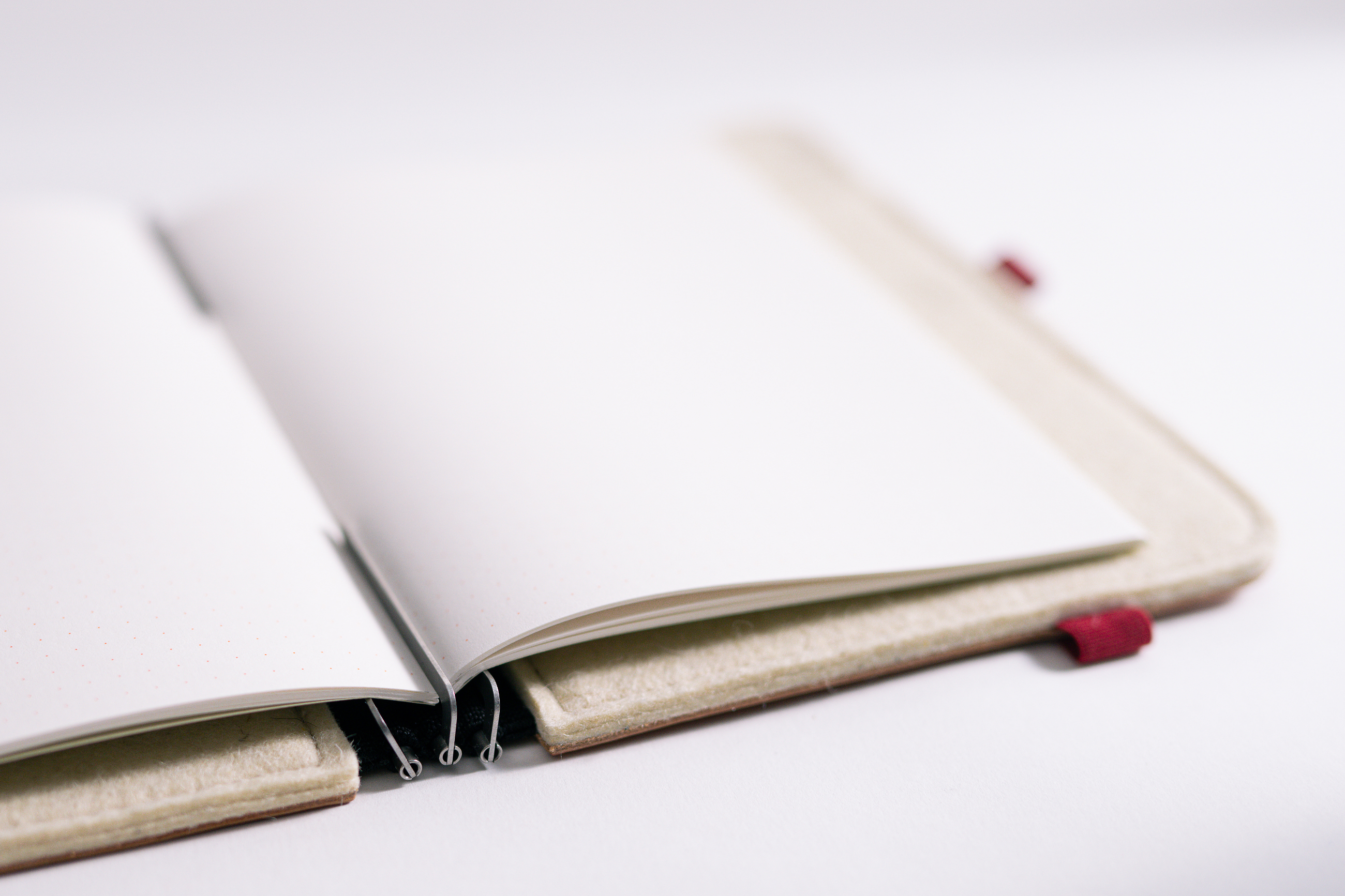 Taschenbegleiter LTD_036