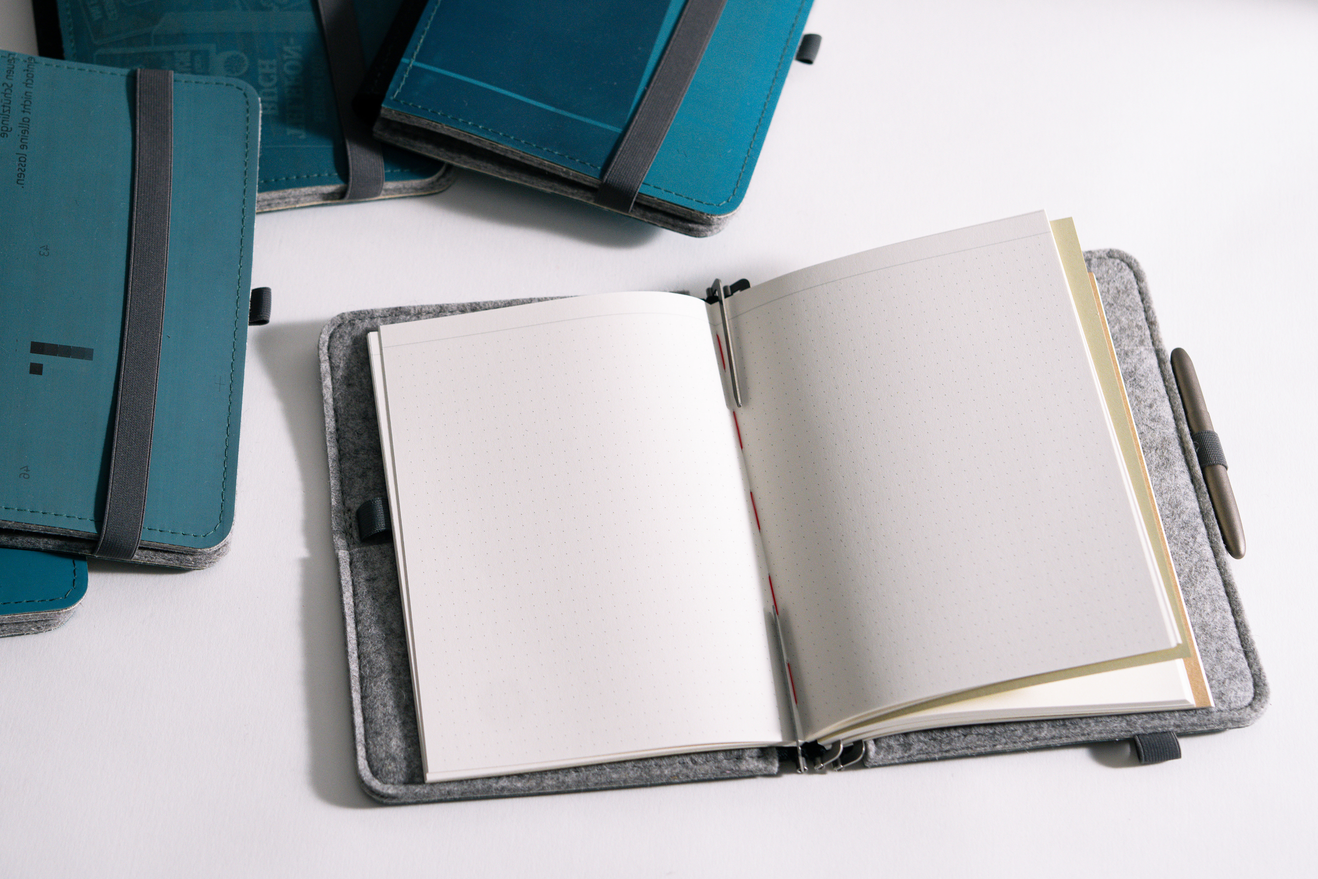 Taschenbegleiter LTD_037